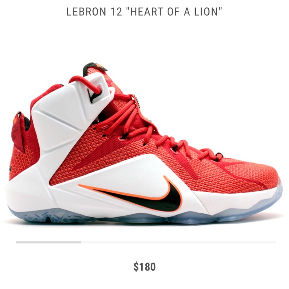Lebron James 12’s